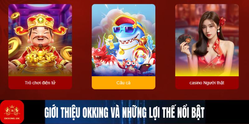 Giới thiệu Okking 4+ lợi thế nổi bật