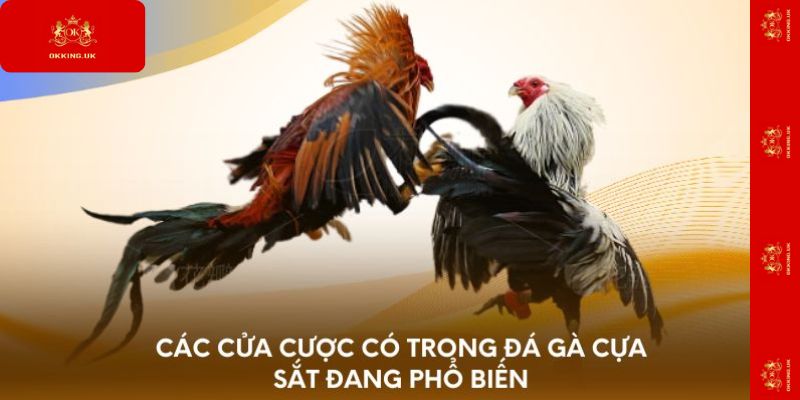 Các cửa cược có trong đá gà cựa sắt đang phổ biến