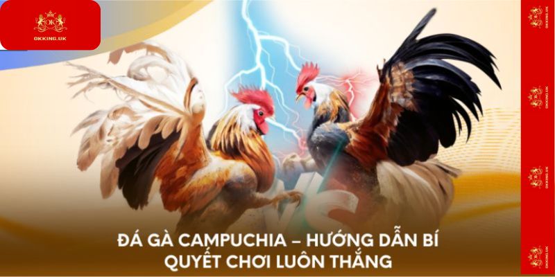 Đá gà Campuchia