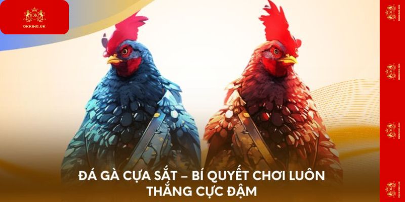 Đá gà cựa sắt
