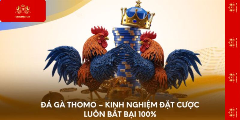 Đá gà Thomo