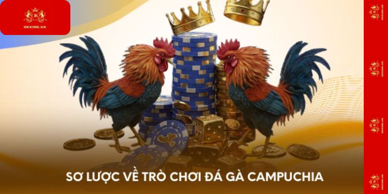 Đôi nét về đá gà Campuchia cần biết