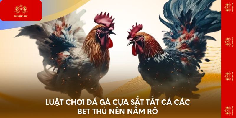 Luật chơi đá gà cựa sắt tất cả các bet thủ nên nắm rõ