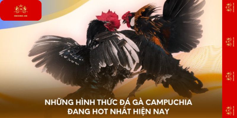 Những hình thức đá gà Campuchia đang hot nhất hiện nay