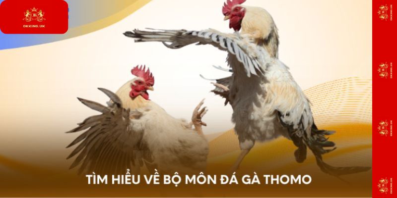 Tìm hiểu về bộ môn đá gà Thomo